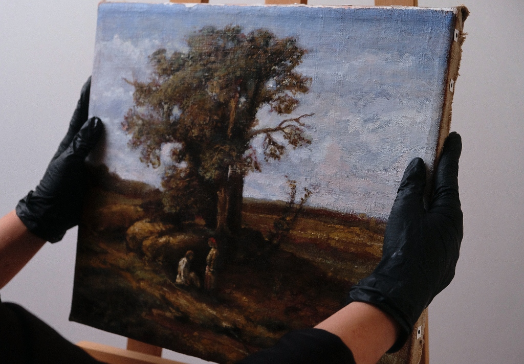 Expertise and Conservation Consulting