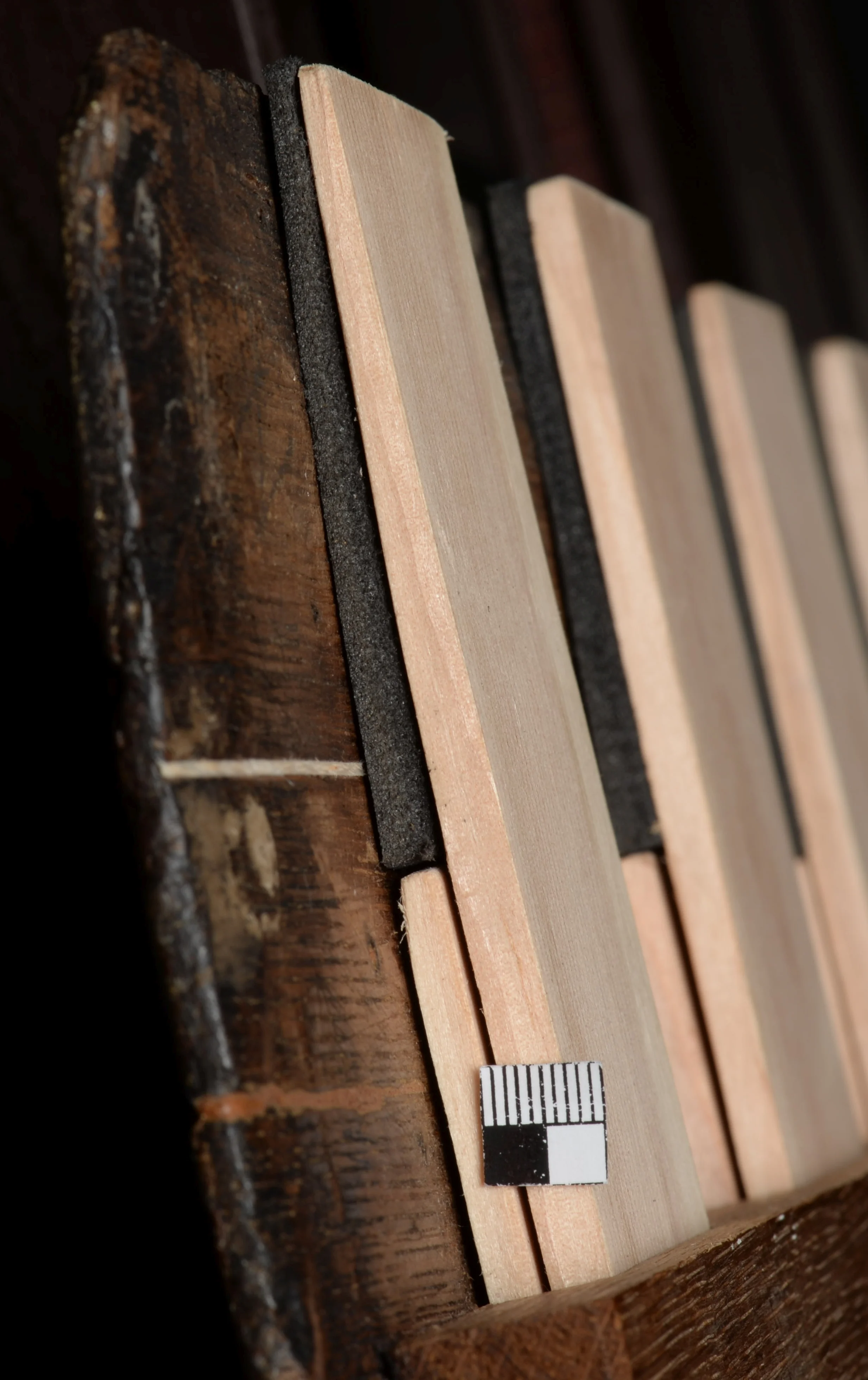 Caritas Romana - detal 4